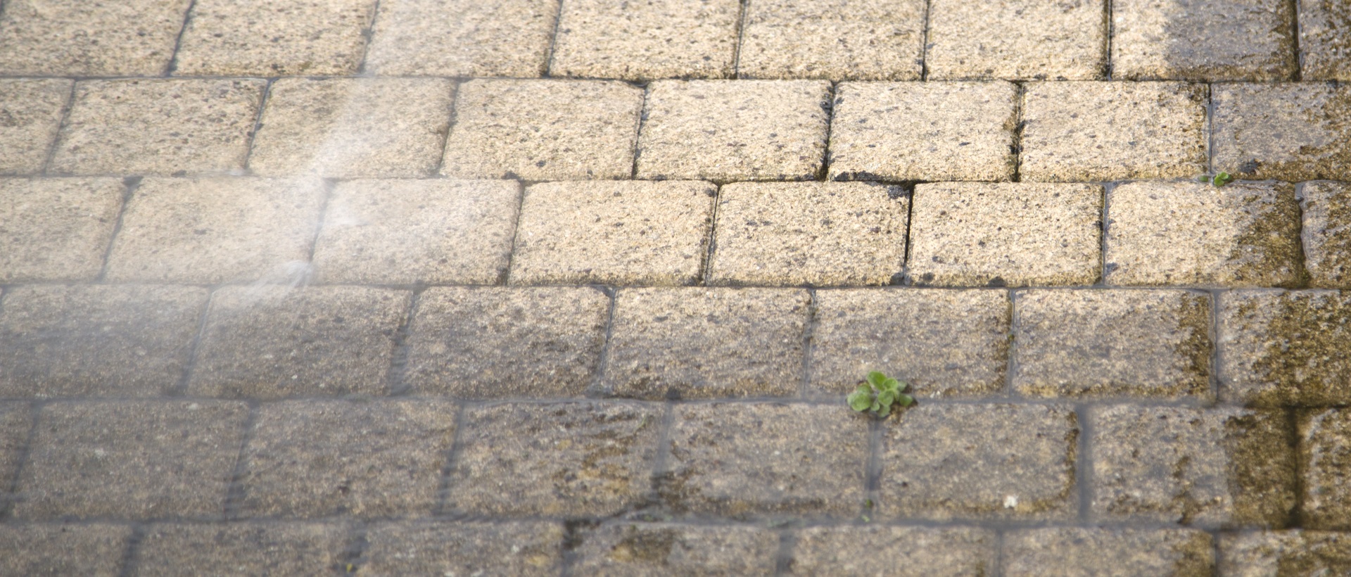 flagging and patios N11