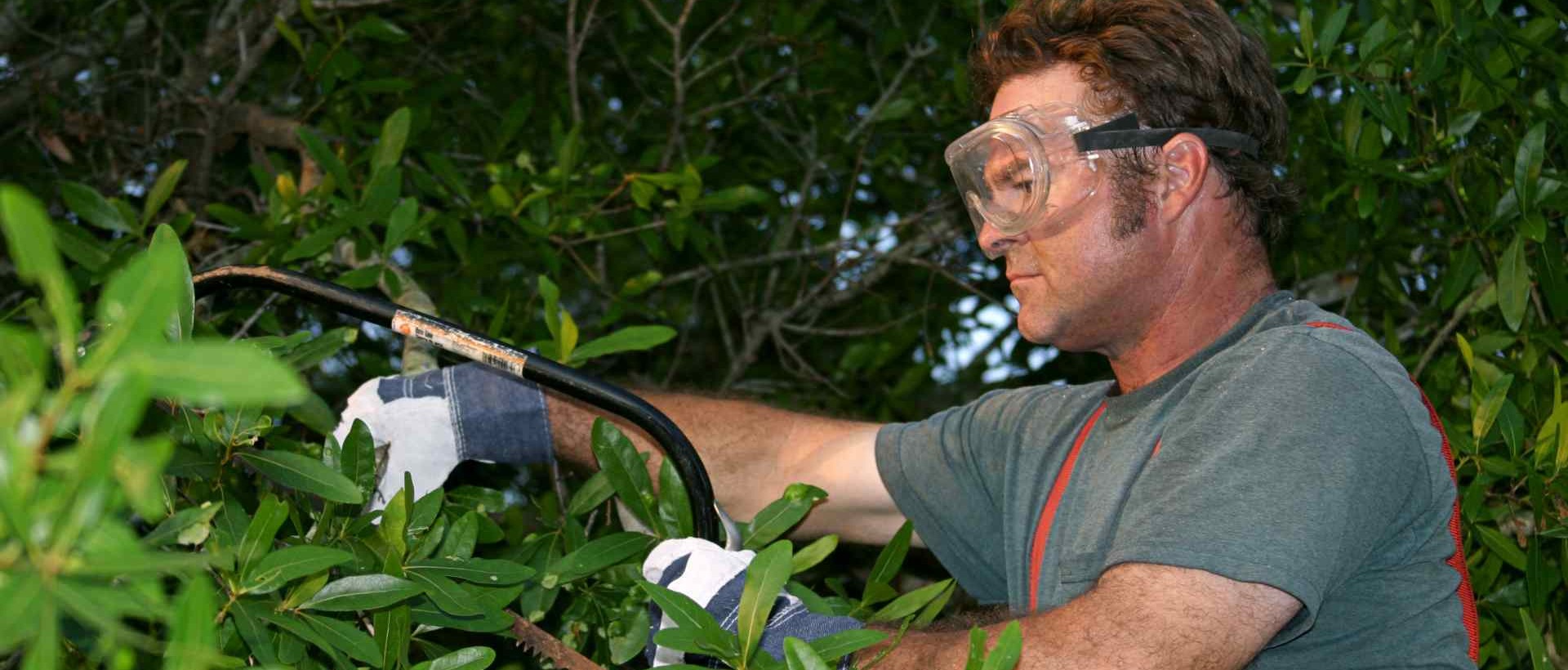 garden clearance N11